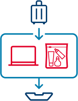 Infografika příruční zavazadlo