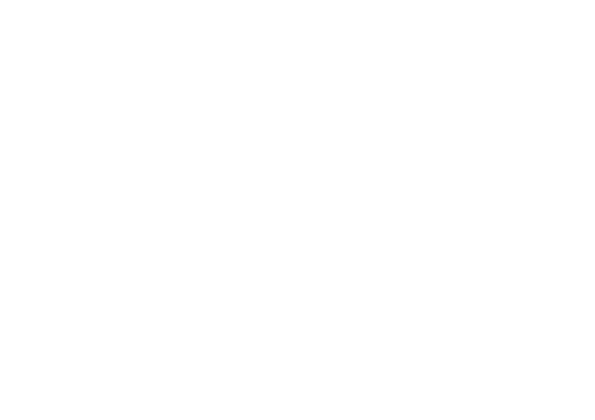 logo letiště