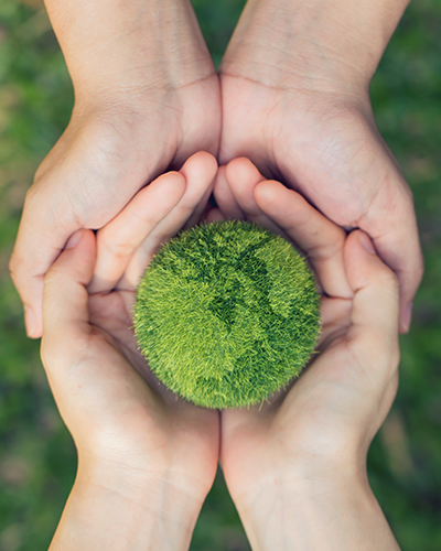 Klimatická odolnost a uhlíková neutralita