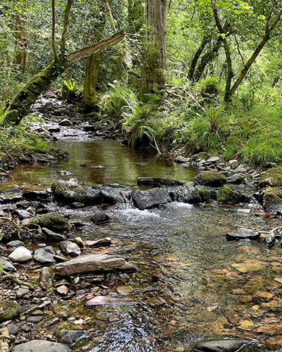Druhově pestré okolí letiště
