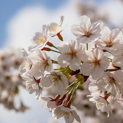 Exkurze během květnových svátků