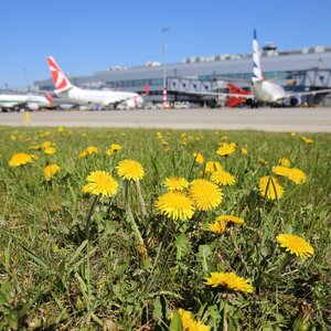 Letiště Václava Havla Praha