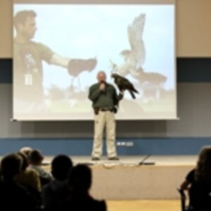 Závěrečná akce - představení práce sokolníků