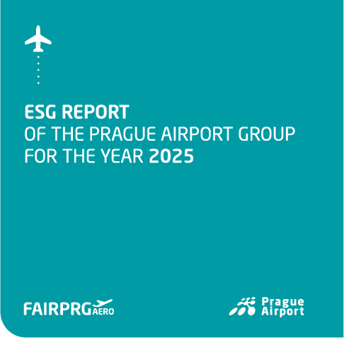 ESG Strategy Report - visual
